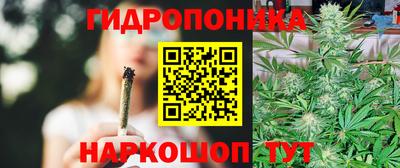 spice Пушкино
